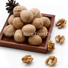 Good Quality Walnuts in Shell Export Standard 28mm/30mm/32mm Walnut in Shell
